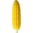 Jumbo Corn Cob Squishy Large Sensory Fidget Toy