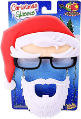 Santa Claus festive Christmas costume sunglasses