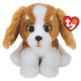 Barker Brown And White Dog